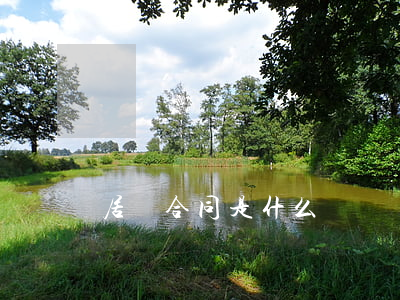 居間合同是什么？